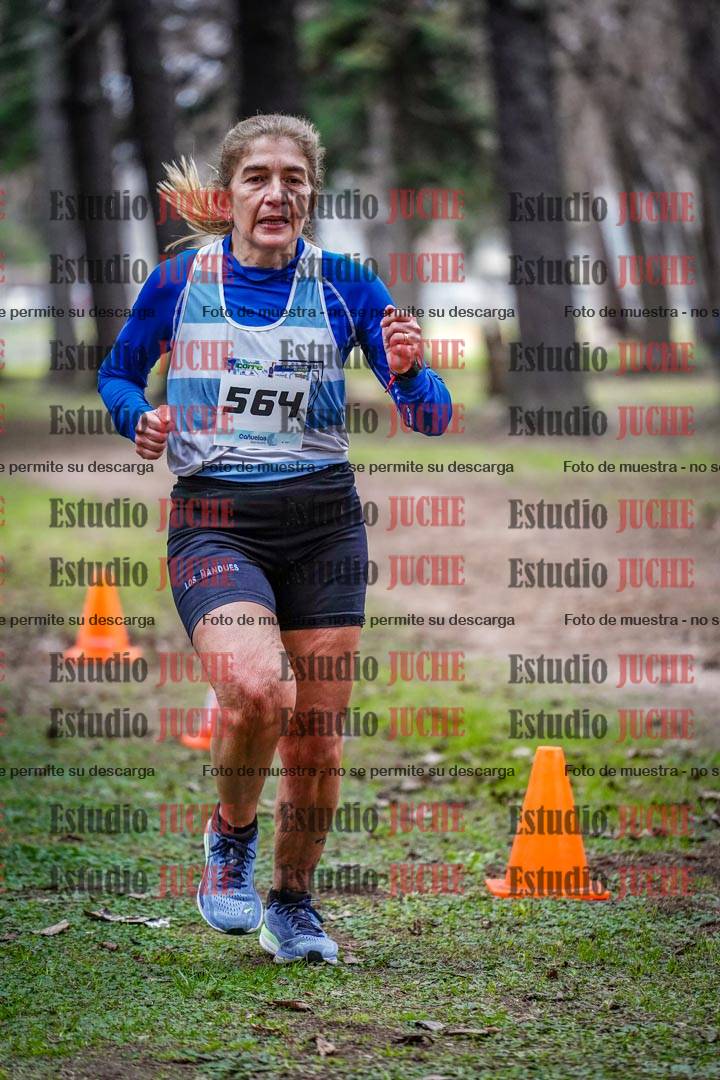 Fotos en el circuito