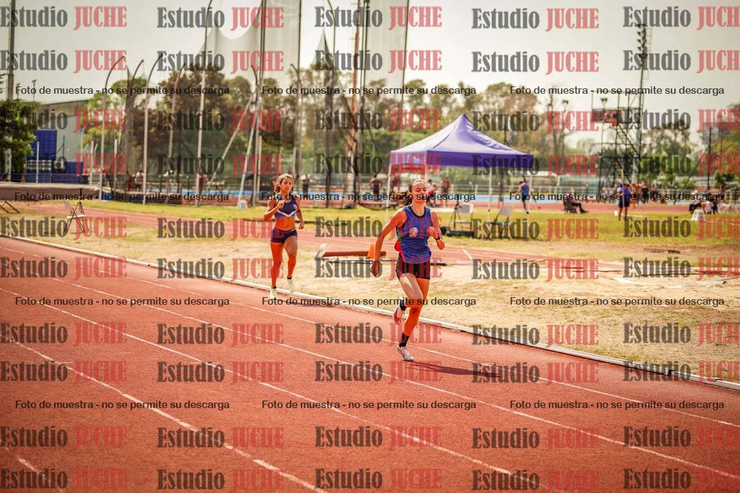 Fotos de los 800 m llanos de mujeres - combinadas 7