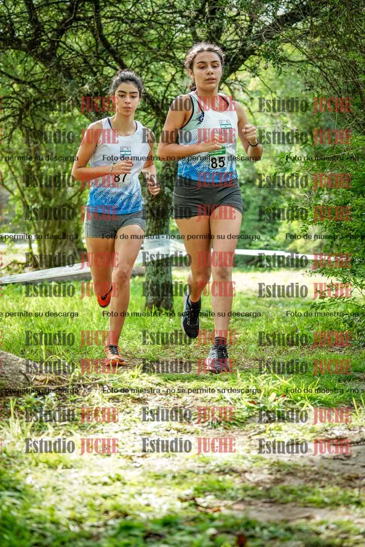 Fotos en el circuito