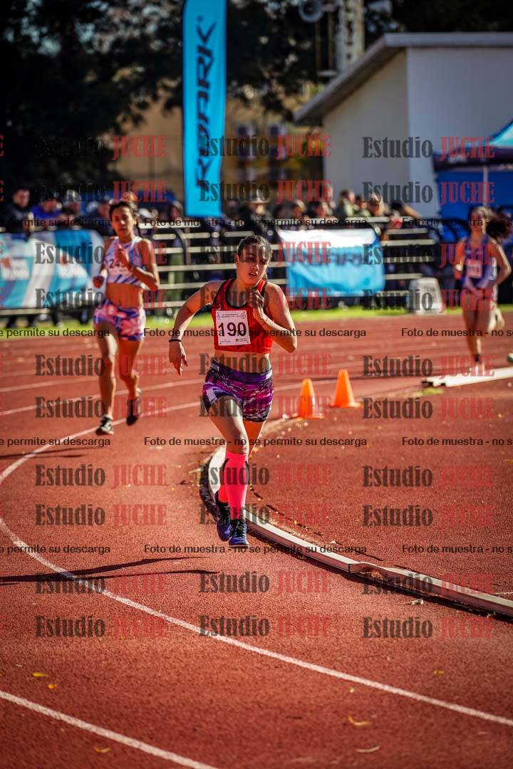 Fotos de los 800 m llanos de mujeres
