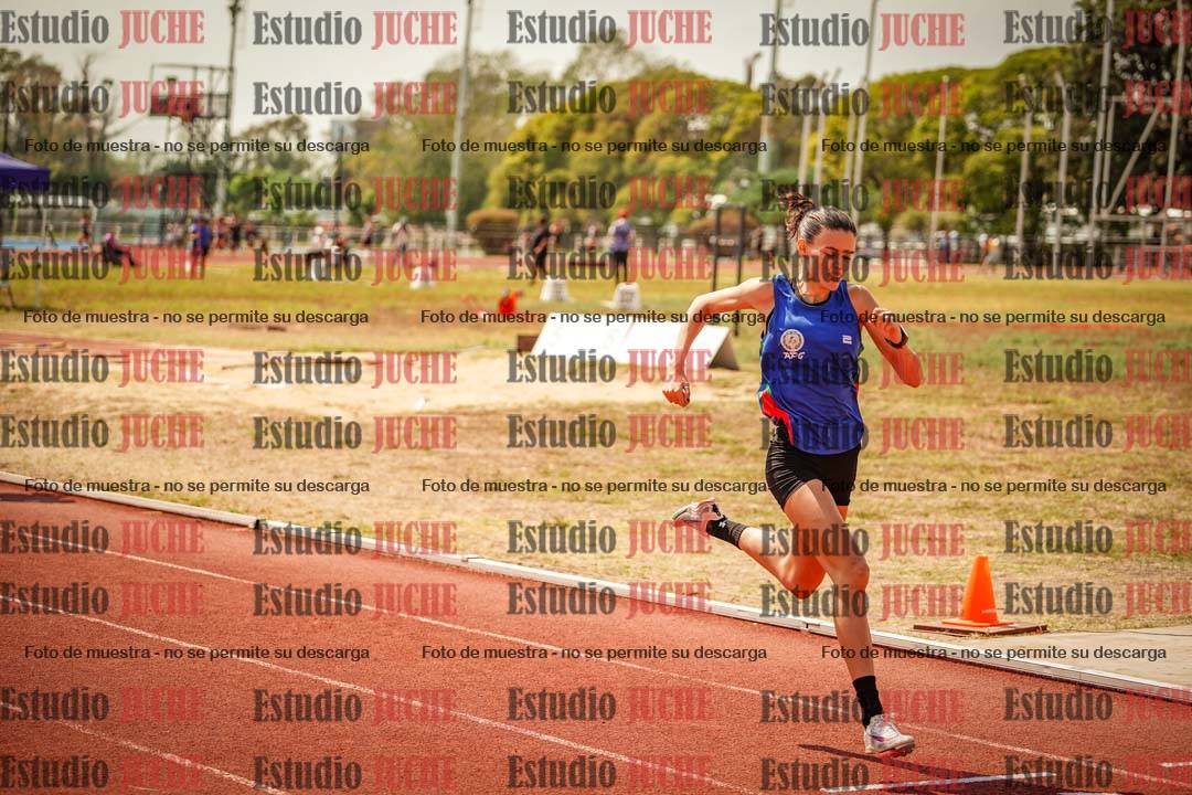 Fotos de los 800 m llanos de mujeres - combinadas 7