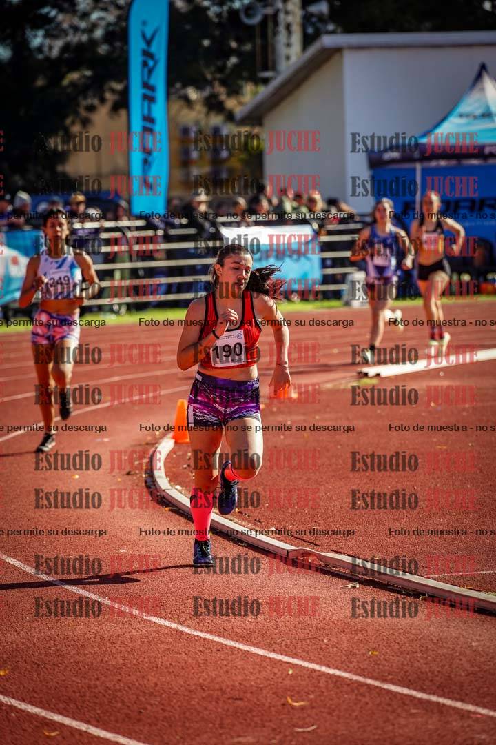 Fotos de los 800 m llanos de mujeres