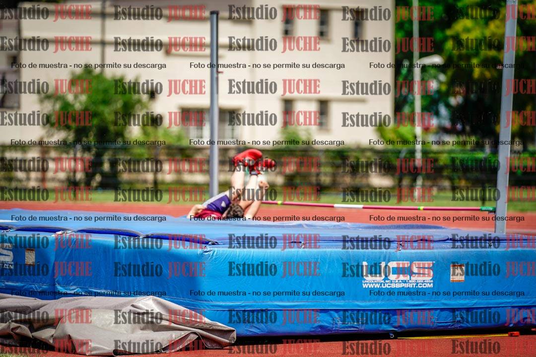 Fotos del salto en alto de varones