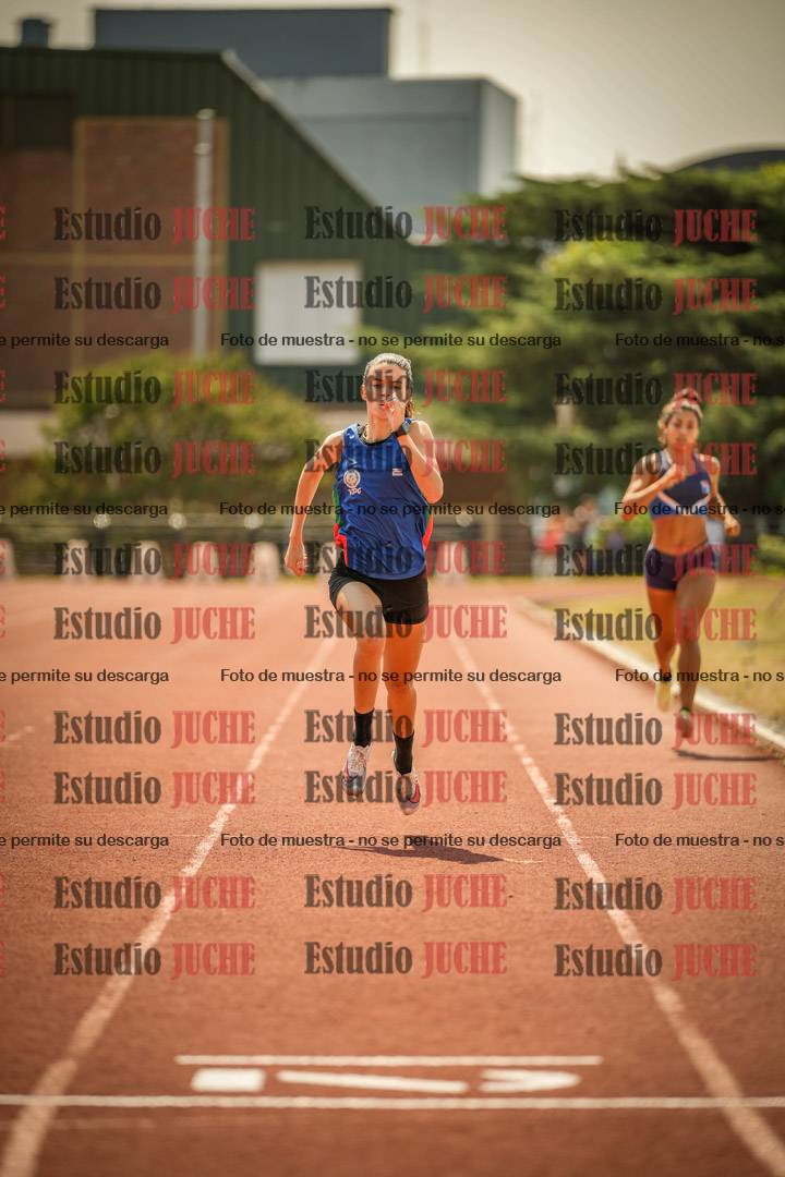 Fotos de los 800 m llanos de mujeres - combinadas 7