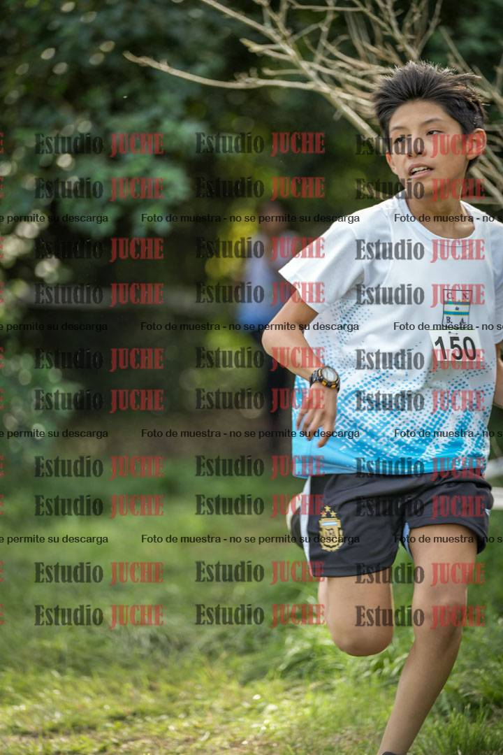 Fotos en el circuito