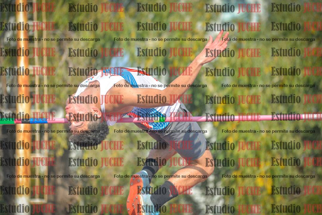 Fotos del salto en alto de varones