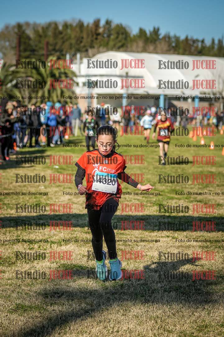 Fotos de las llegadas