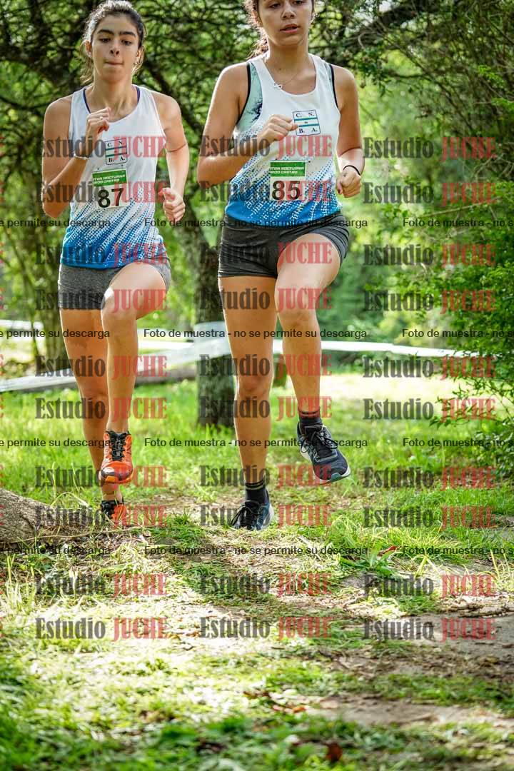 Fotos en el circuito