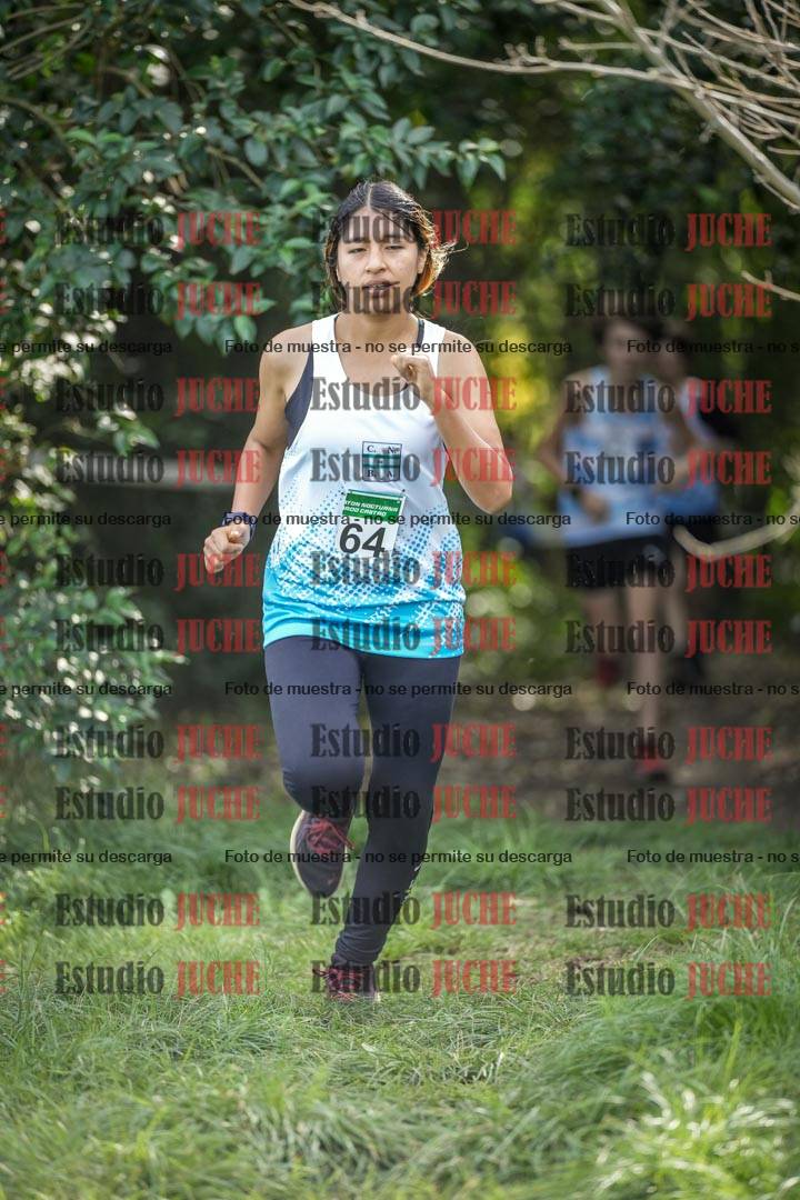 Fotos en el circuito