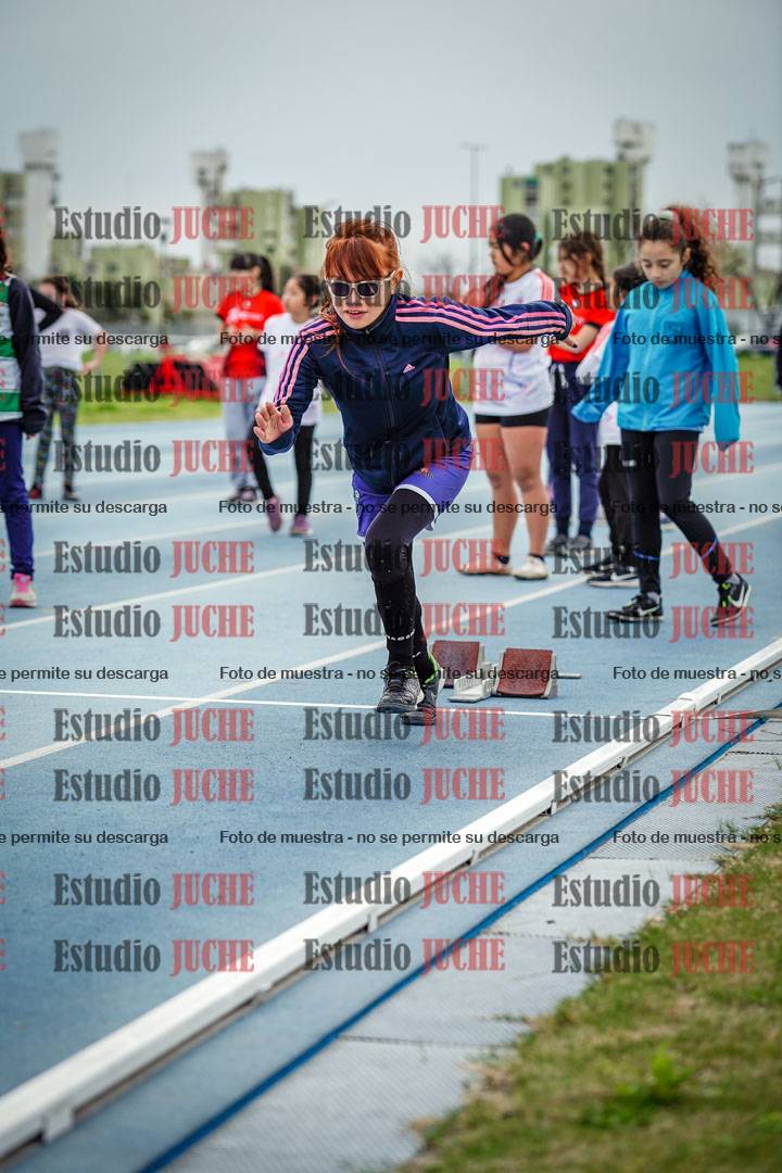 Fotos de los 50 m llanos de mujeres - U12