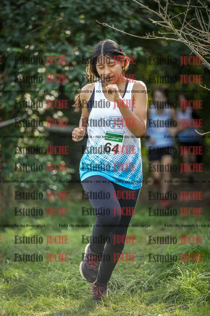 Fotos en el circuito