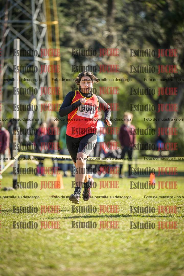 Fotos de la llegada del cross de 3000 m
