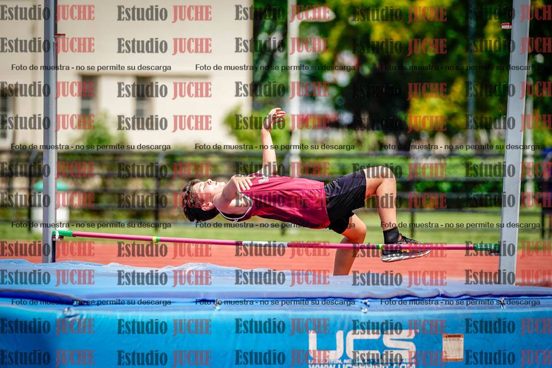 Fotos del salto en alto de varones