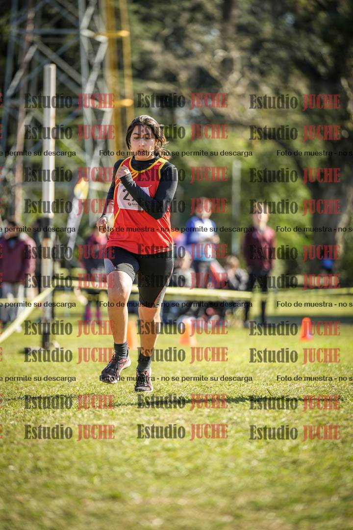 Fotos de la llegada del cross de 3000 m