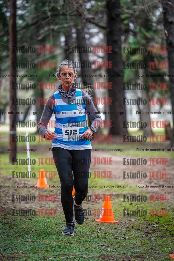 Fotos en el circuito