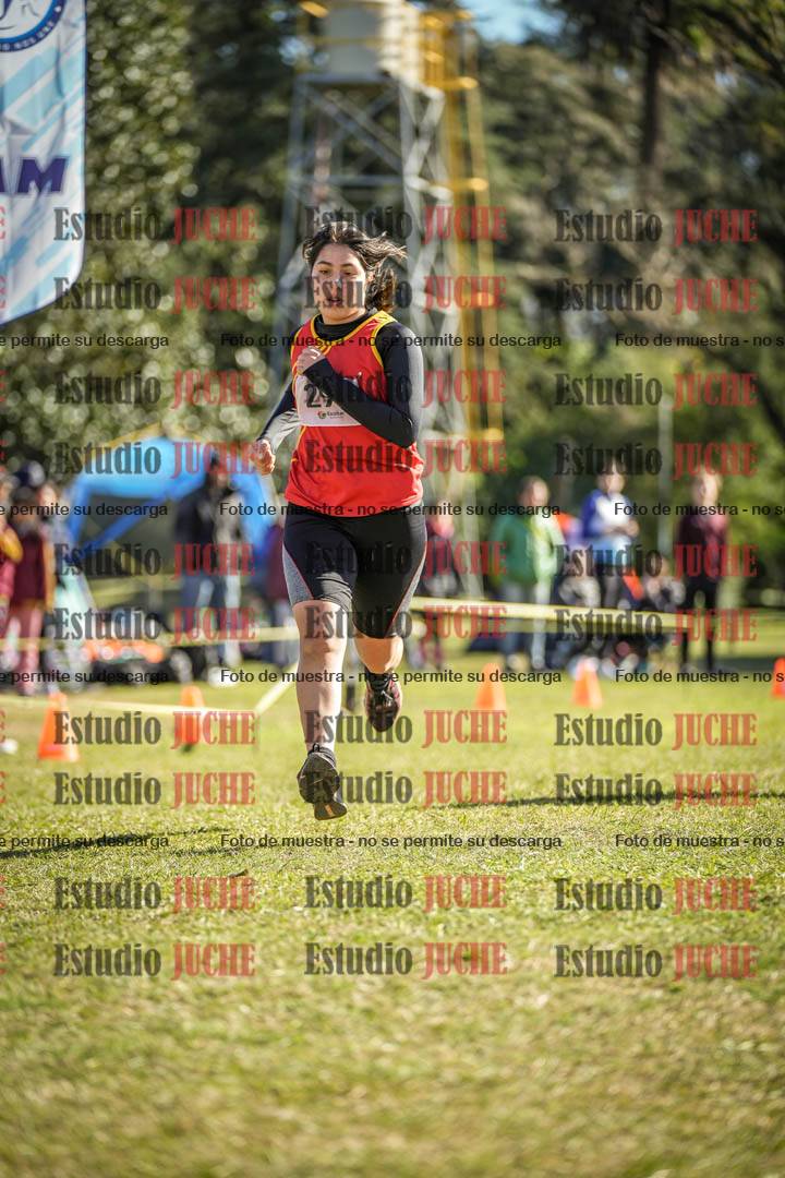 Fotos de la llegada del cross de 3000 m