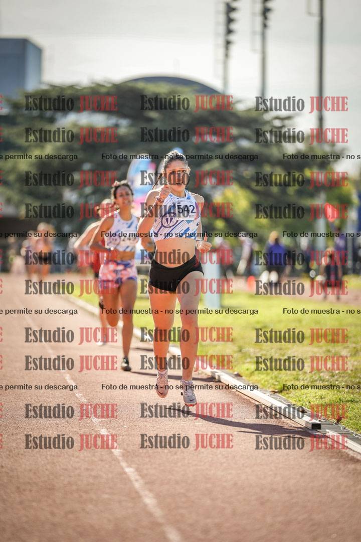 Fotos de los 800 m llanos de mujeres