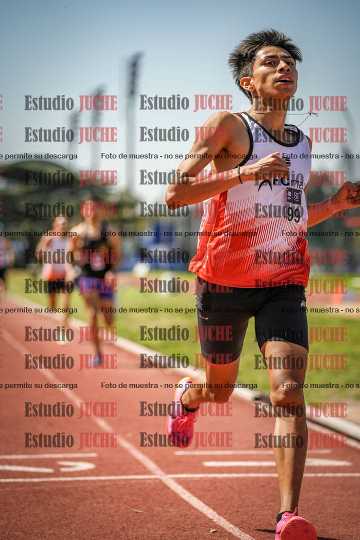 Fotos de los 1500 m llanos de varones