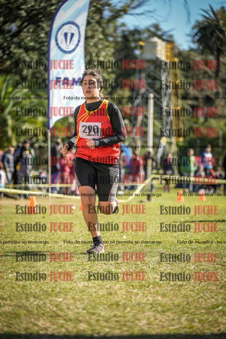 Fotos de la llegada del cross de 3000 m