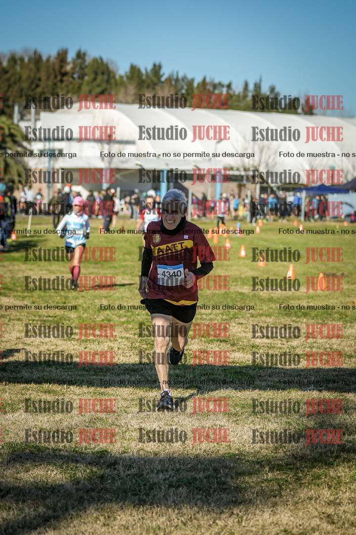 Fotos de las llegadas
