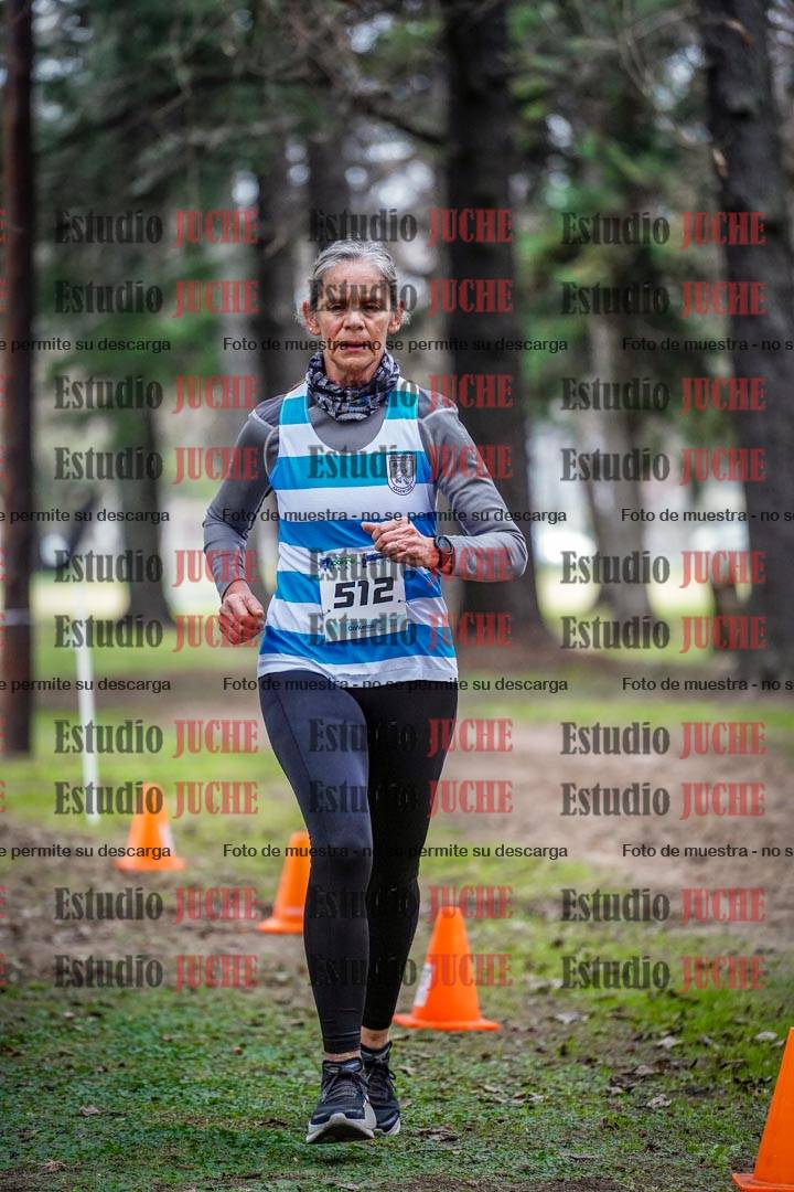Fotos en el circuito