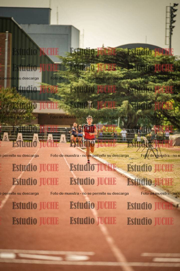 Fotos de los 800 m llanos de mujeres - combinadas 7