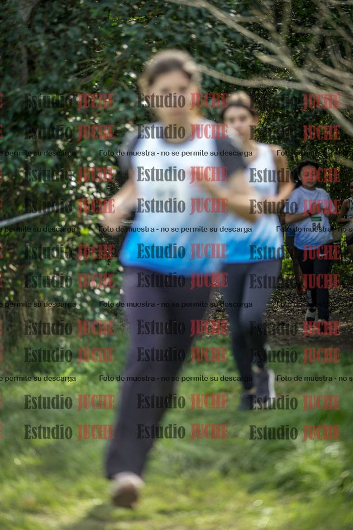 Fotos en el circuito