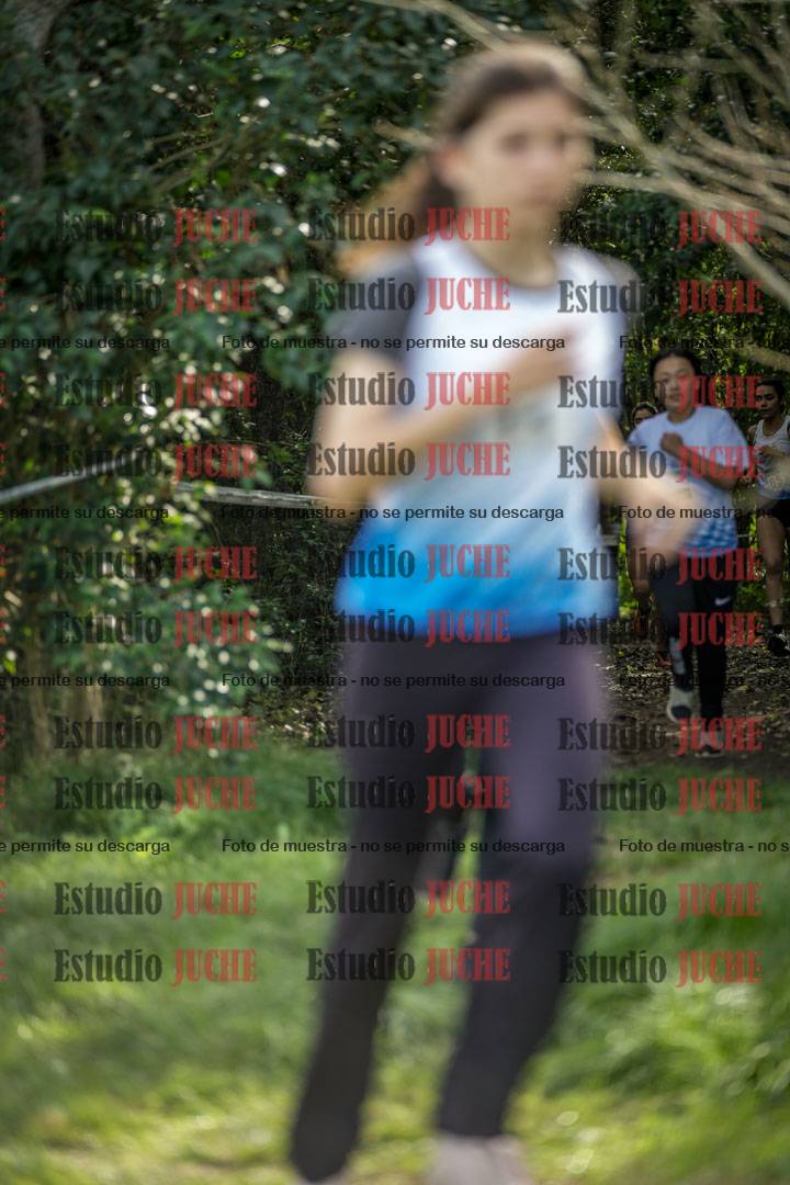 Fotos en el circuito