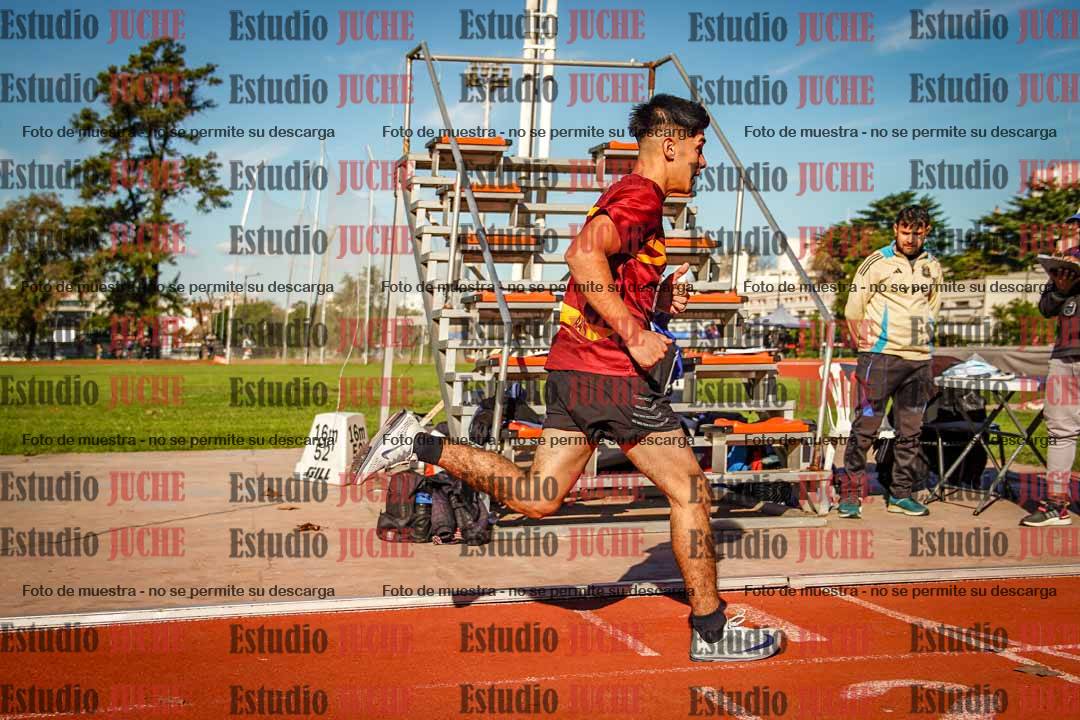 Fotos de los 800 m llanos de varones