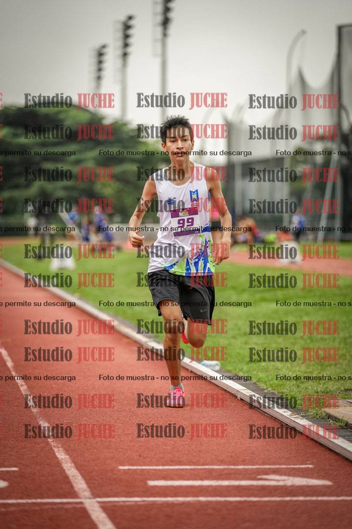 Fotos de los 800 m llanos de varones