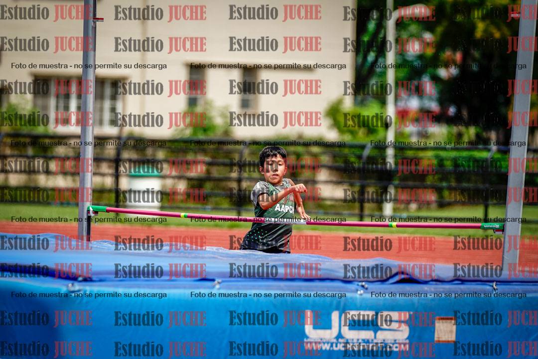 Fotos del salto en alto de varones