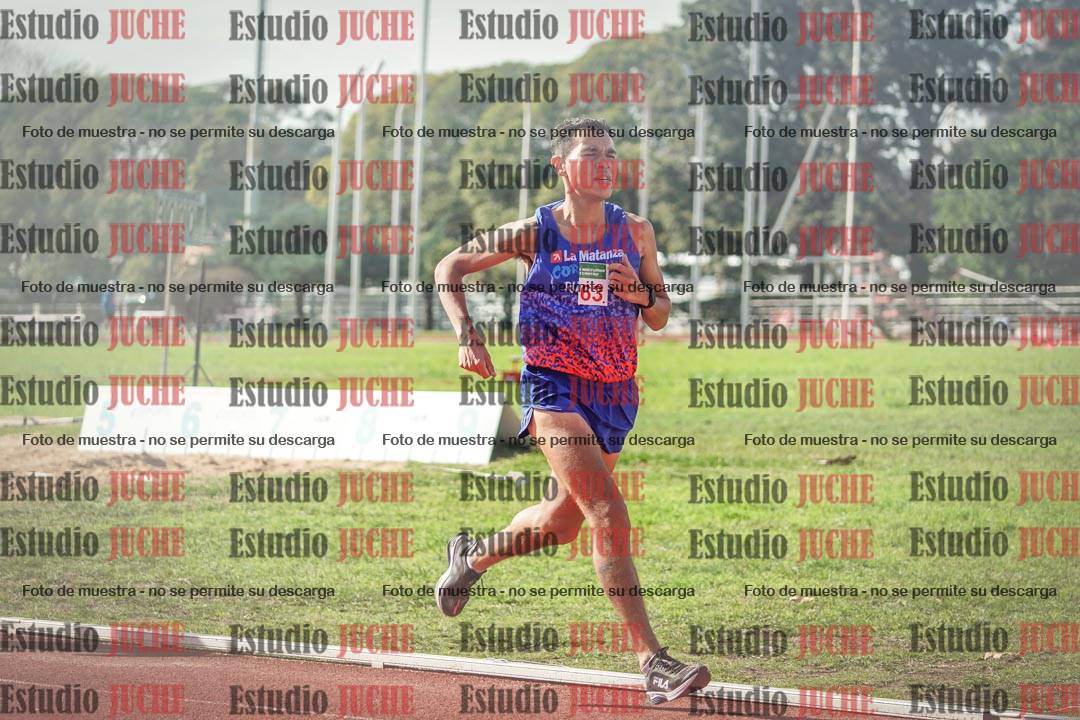 Fotos de los 800 m llanos de varones