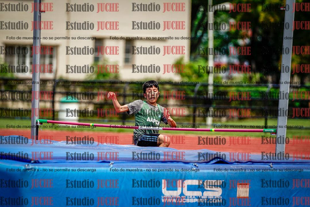 Fotos del salto en alto de varones