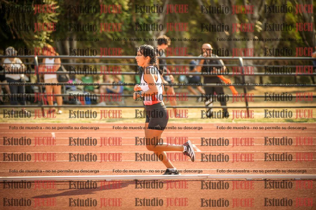 Fotos de los 1500 m llanos de mujeres
