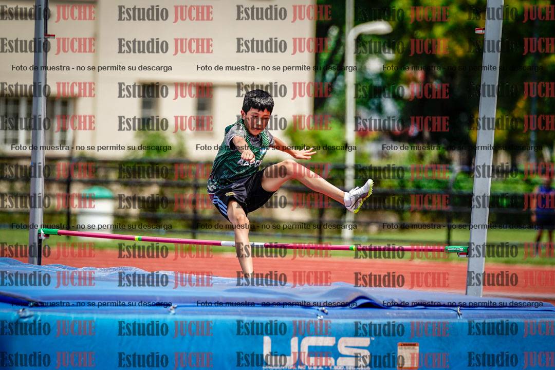Fotos del salto en alto de varones