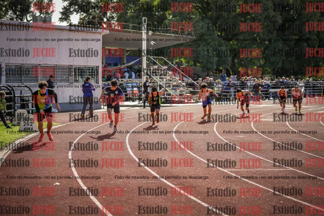 Fotos de los 800 m llanos de varones