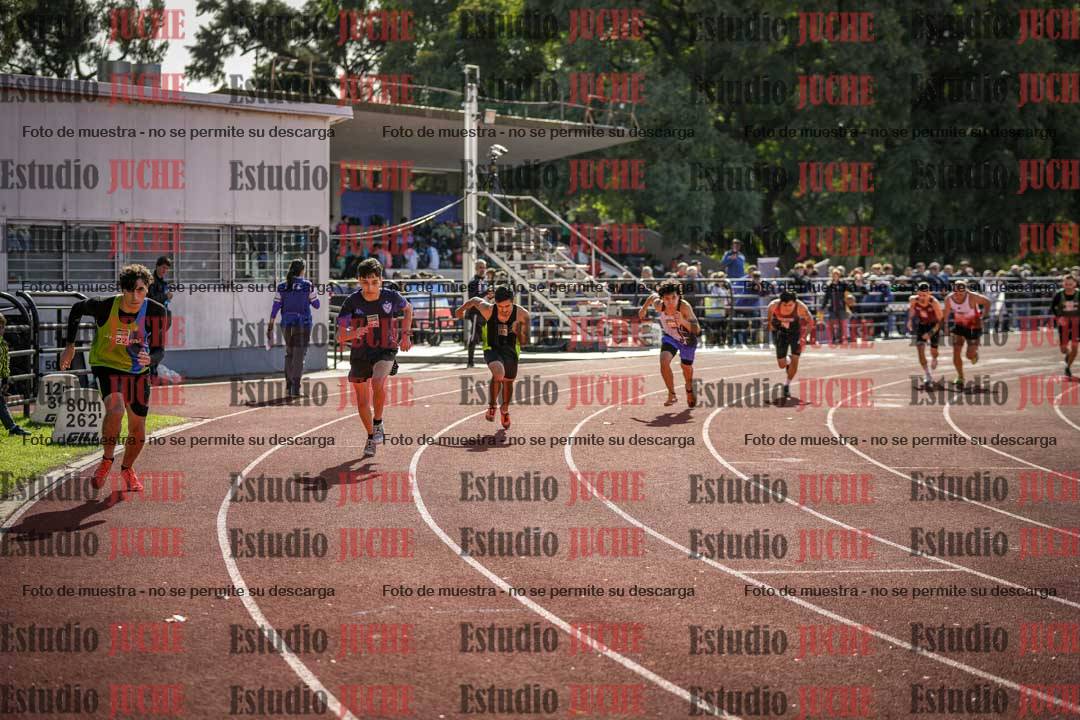 Fotos de los 800 m llanos de varones