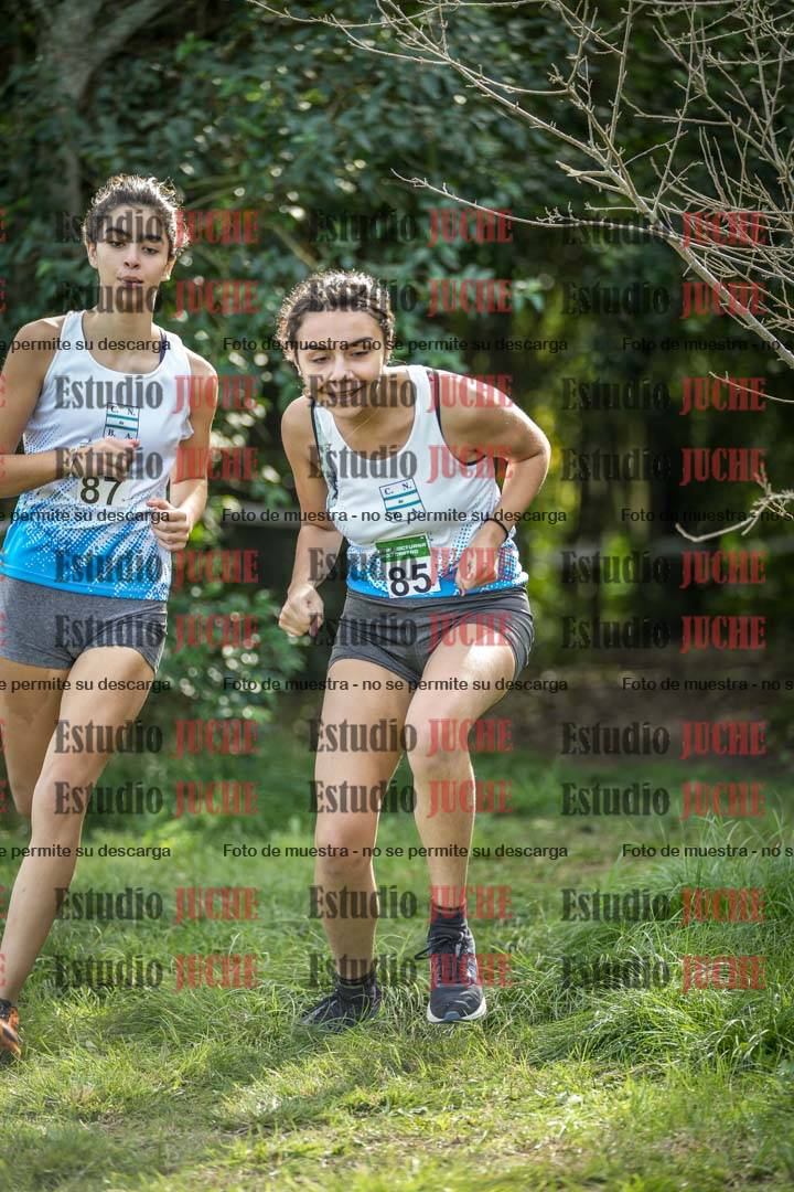 Fotos en el circuito