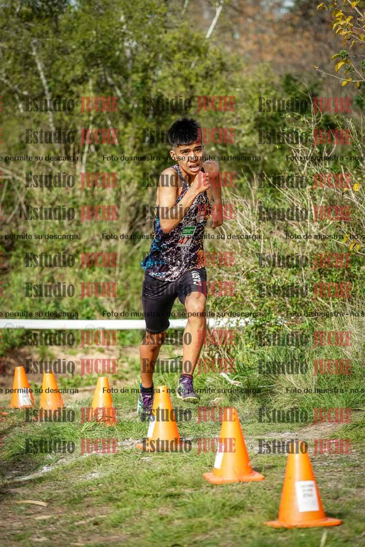 Fotos en el circuito