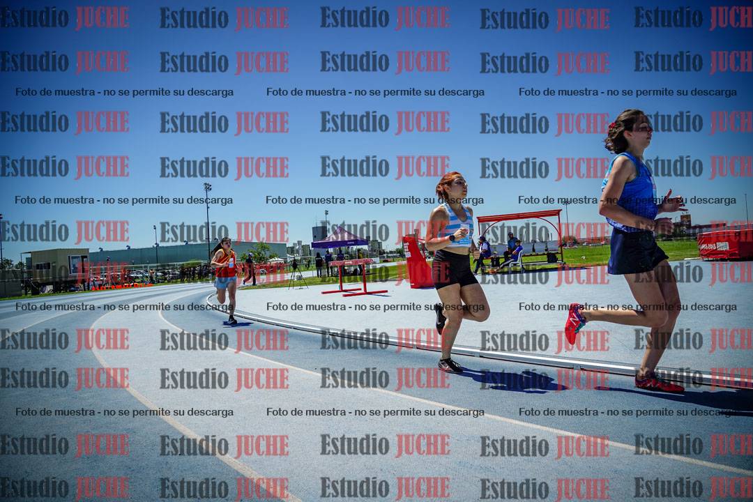 Fotos de los 800 m llanos de mujeres