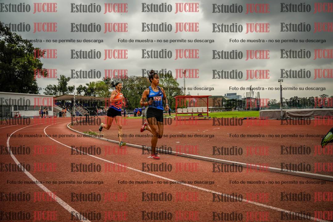 Fotos de los 800 m llanos de mujeres