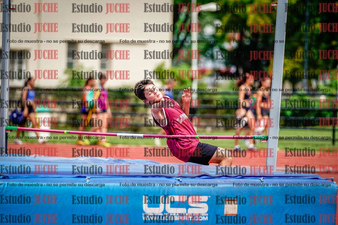 Fotos del salto en alto de varones