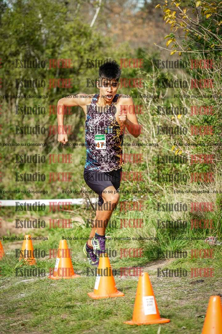 Fotos en el circuito