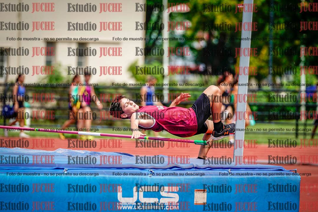 Fotos del salto en alto de varones