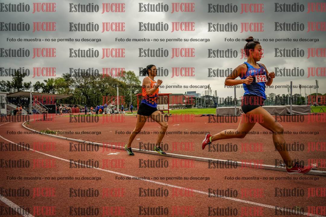 Fotos de los 800 m llanos de mujeres