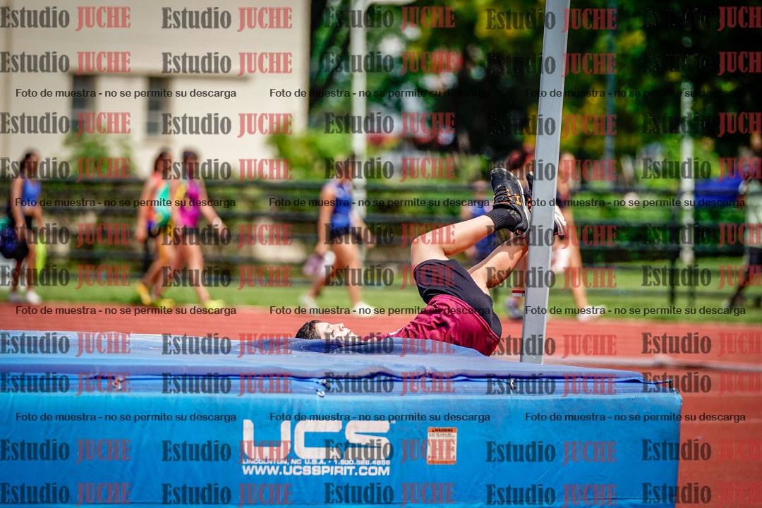 Fotos del salto en alto de varones