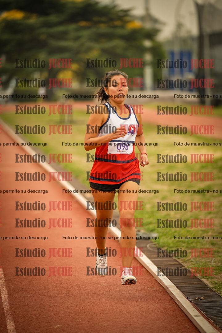 Fotos de los 800 m llanos de mujeres