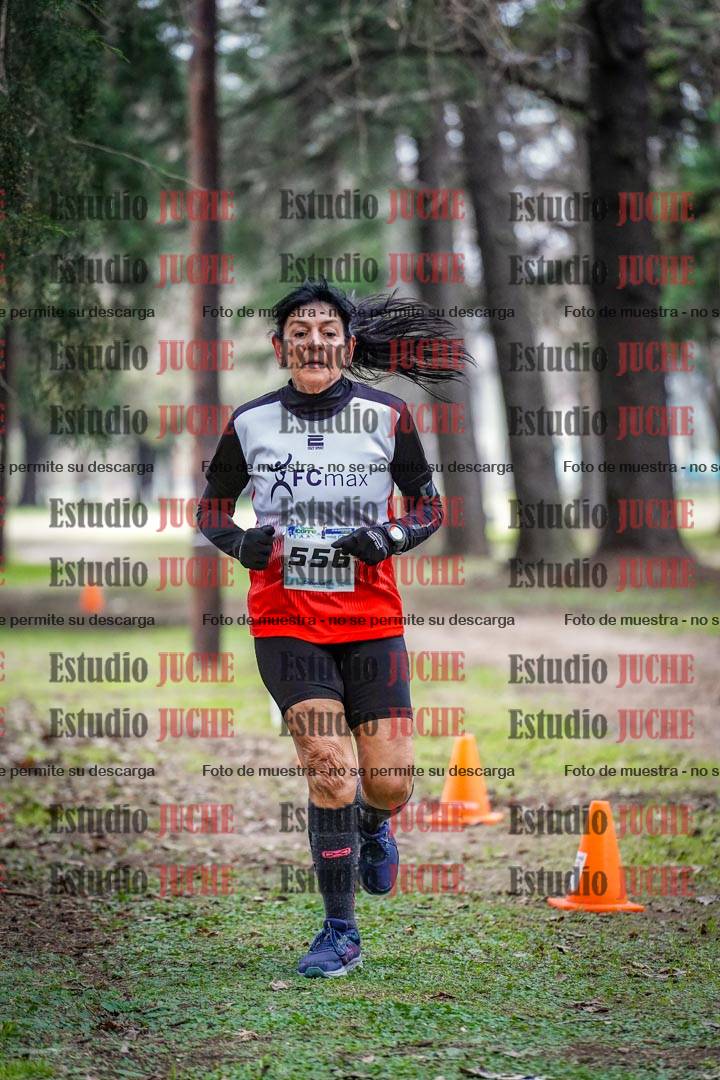 Fotos en el circuito