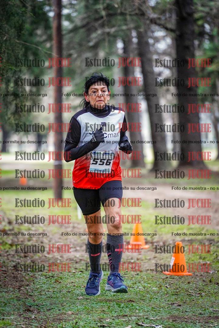 Fotos en el circuito
