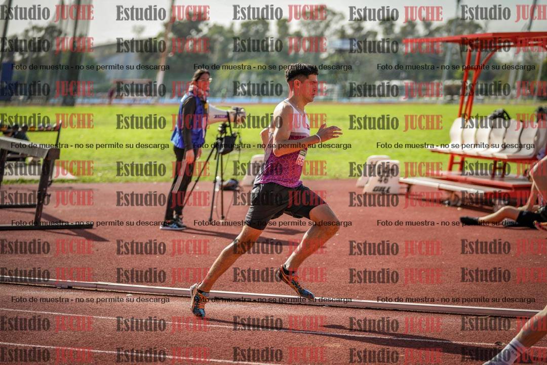 Fotos de los 800 m llanos de varones